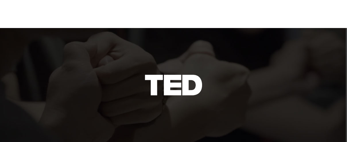 TED 영상 제작, 모션그래픽 — 브이디렉터스 포트폴리오 2