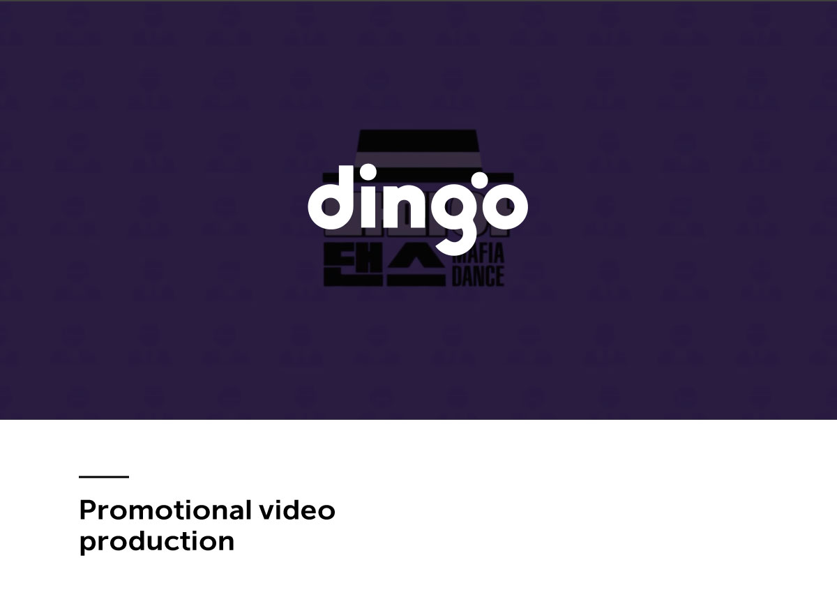딩고 영상 제작, 모션그래픽 — 브이디렉터스 포트폴리오 1