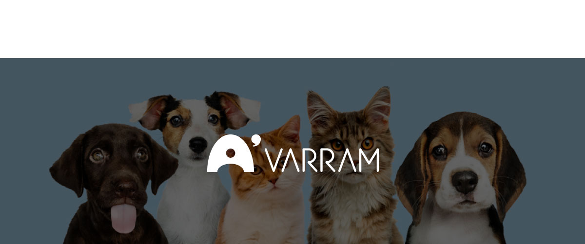 VARRAM 브랜딩, 패키지 디자인, 홍보영상, 이벤트페이지 디자인 — 브이디렉터스 포트폴리오 3