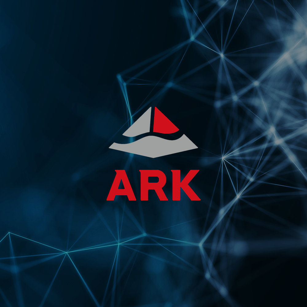 ARK UI/UX 개발, 소프트웨어 개발 — 브이디렉터스 포트폴리오 1