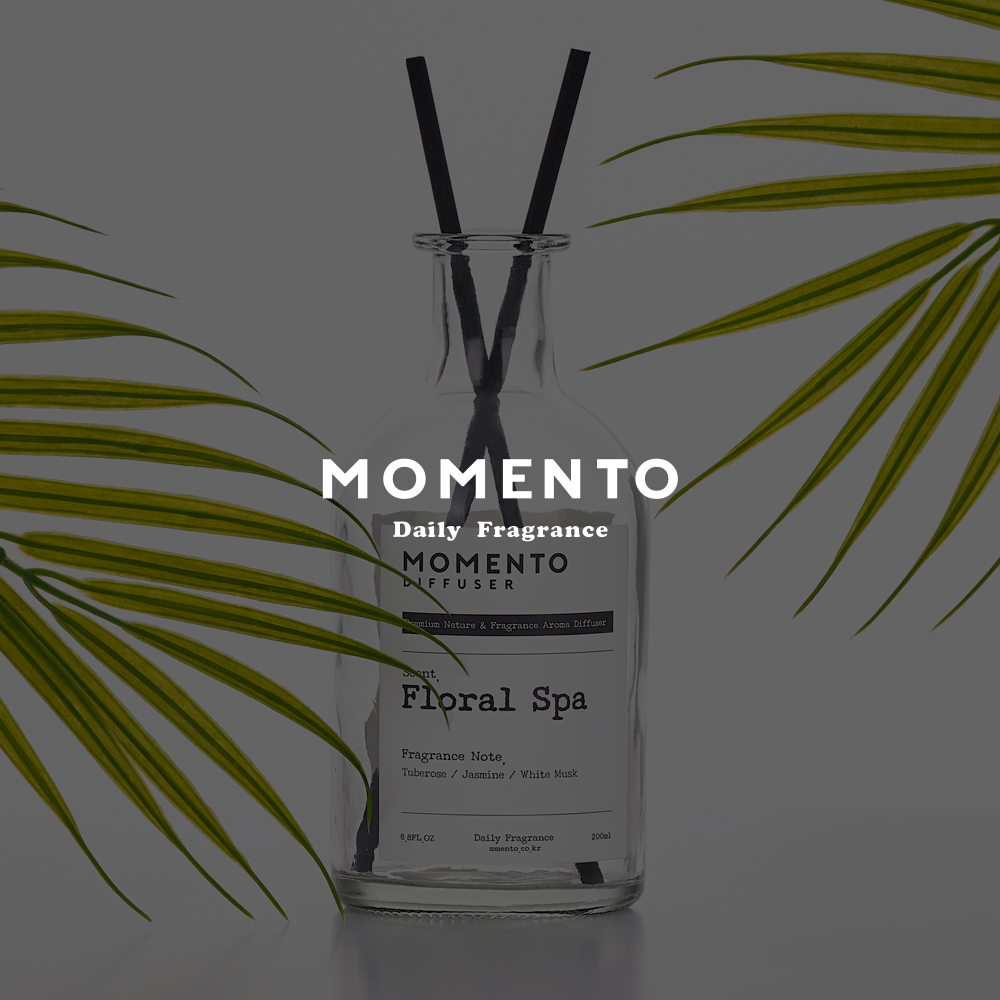 MOMENTO (패키지) 포트폴리오 — 브이디렉터스