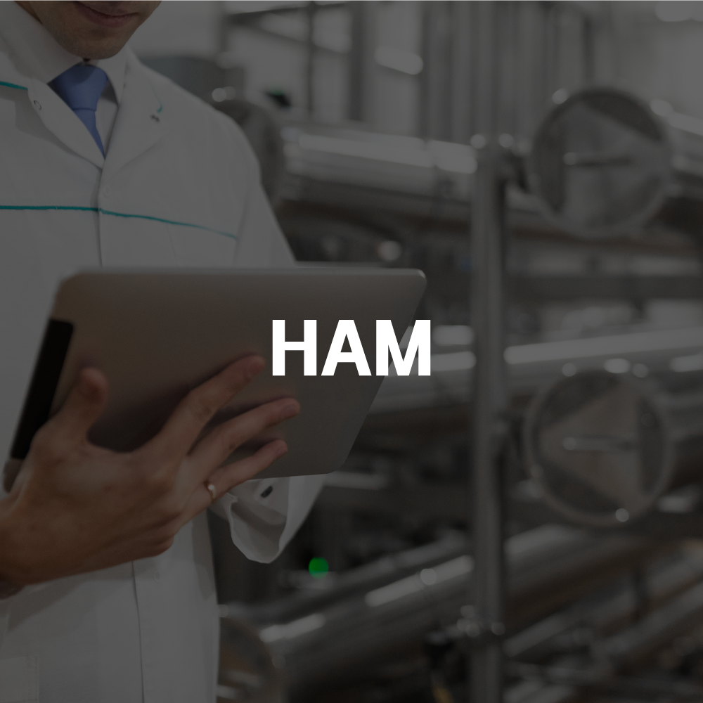 HAM 포트폴리오 — 브이디렉터스