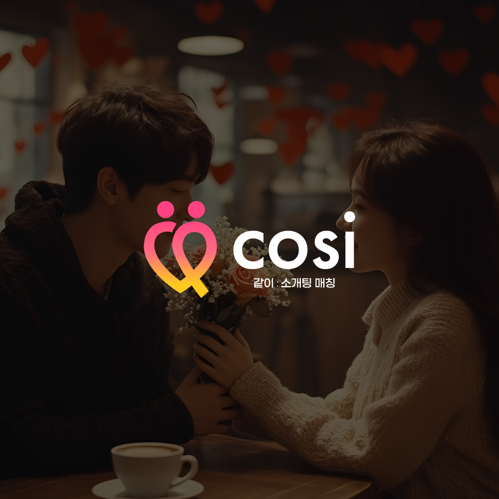 COSI 포트폴리오 — 브이디렉터스
