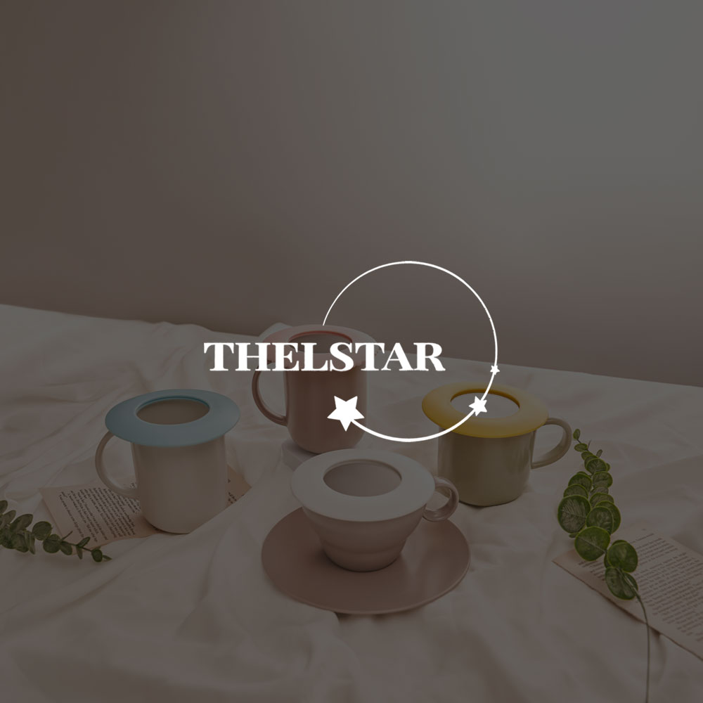 THELSTAR 포트폴리오 — 브이디렉터스