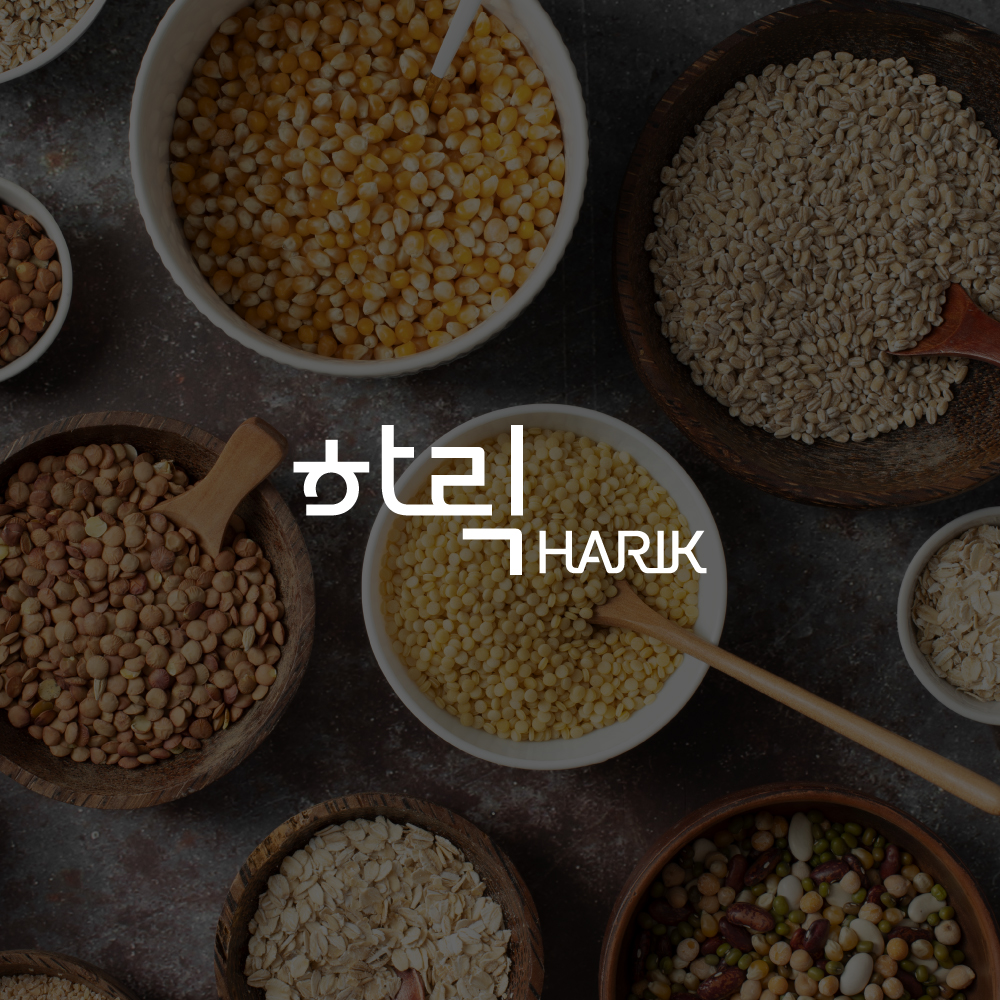 HARIK 포트폴리오 — 브이디렉터스