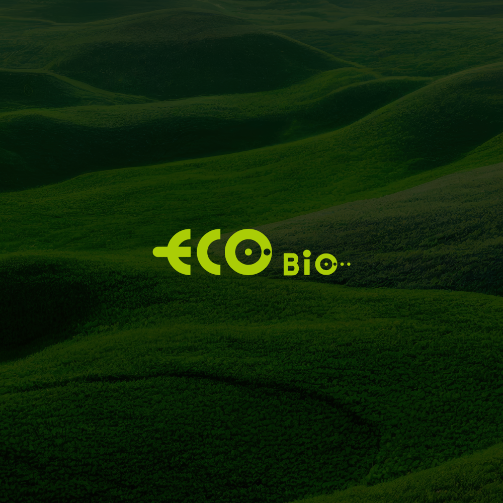 ECO Bio 포트폴리오 — 브이디렉터스