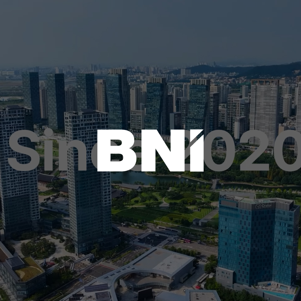 BNI 포트폴리오 — 브이디렉터스